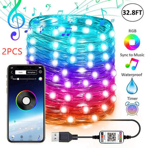 LED Programable String Lights 32ft.