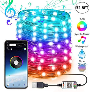 LED Programable String Lights 32ft.